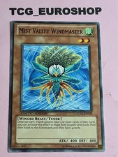 MIST VALLEY WINDMASTER ●