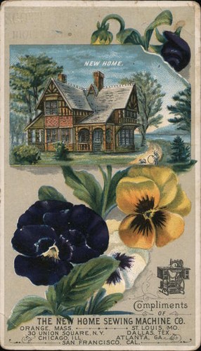 Trade card complimenti della - card,