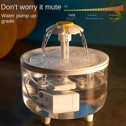 Fontana acqua gatto - acqua,