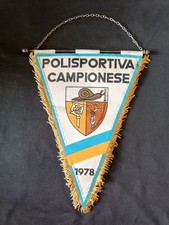 Gagliardetto Pennant Vigor Lamezia Calcio Lamezia Terme 1919 Italia