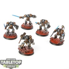 Cavalieri Grigi - 5x Squadra