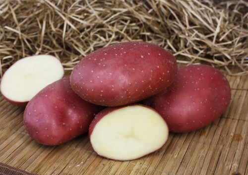 Faro patate g - faro, di