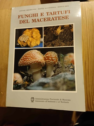 Funghi tartufi del - tartufi,