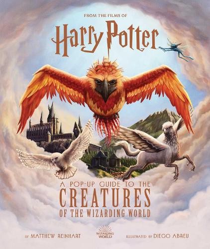 Harry potter pop up - harry, a