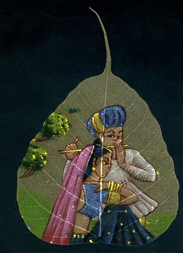 Pittura foglia pipal - , giovane