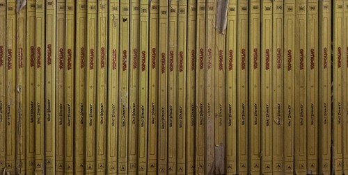 Topolino libretto annata - libretto,