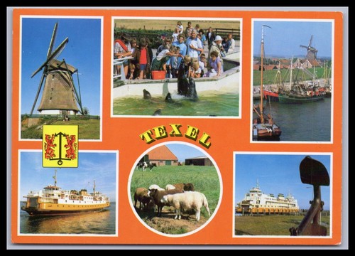 Cartolina texel olanda - cartolina,