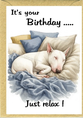 Biglietto compleanno bull - biglietto,