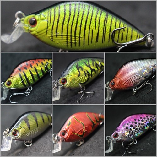 Esche pesca crankbait con - esche,