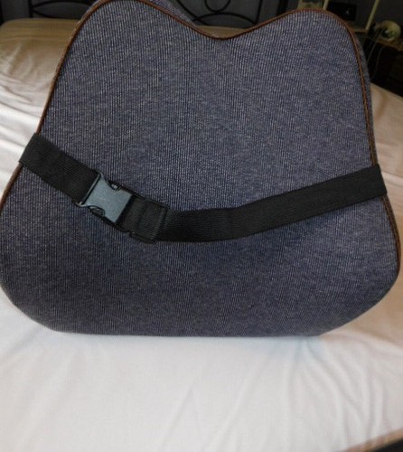 Cushii - ,