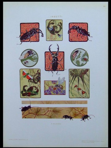 Insetti art nouveau - -, stampa