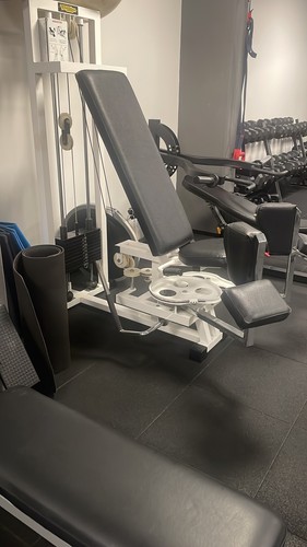 Adductor technogym usato - ,