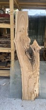 Tavola legno di ulivo 175x Max
