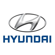 Genuine Hyundai Terostat Ms