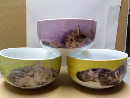Tazza bicchiere gattini - 3x,