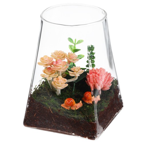 Vaso per piante vetro - vaso,