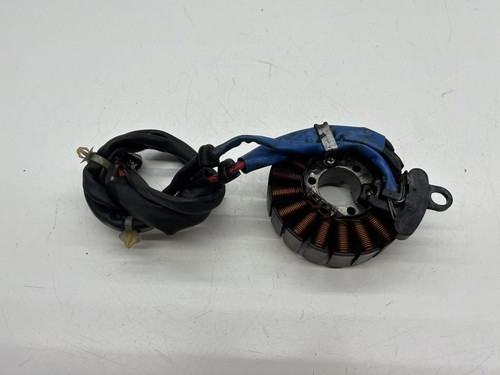 Statore alternatore magnete - statore,