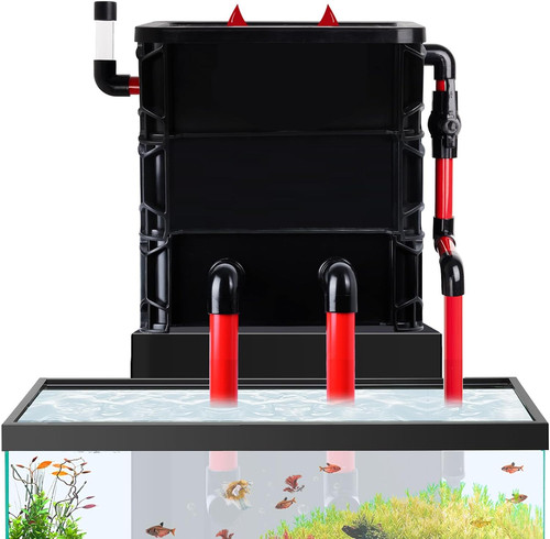 Scatola filtro acquario - acquario, 3