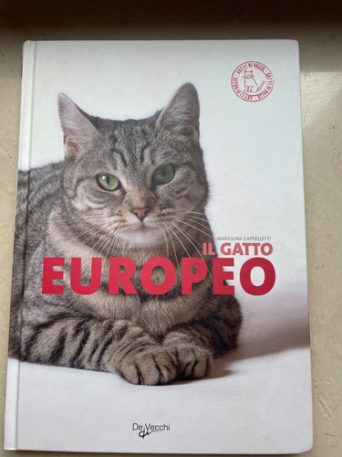 Gatto europeo - il,