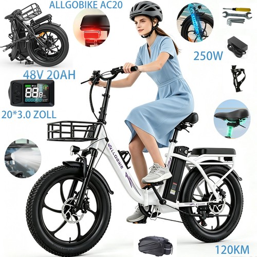 Bicicletta elettrica