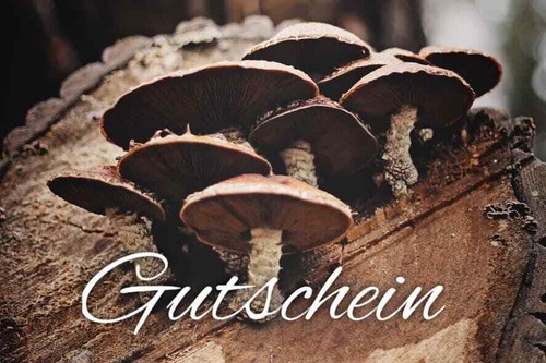Buono funghi coltivare - buono,
