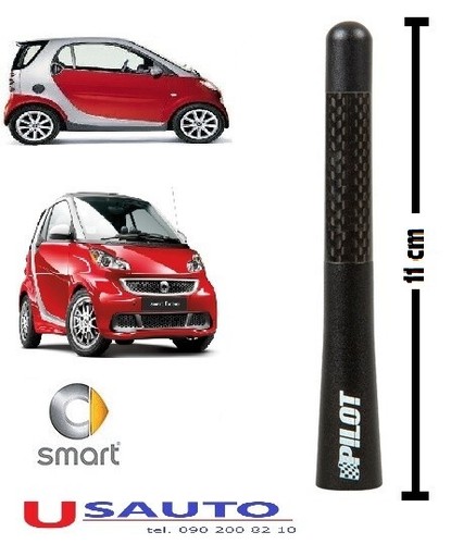 Antenna smart carbon stelo - antenna,