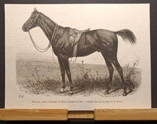 Stampa Antica Florentin