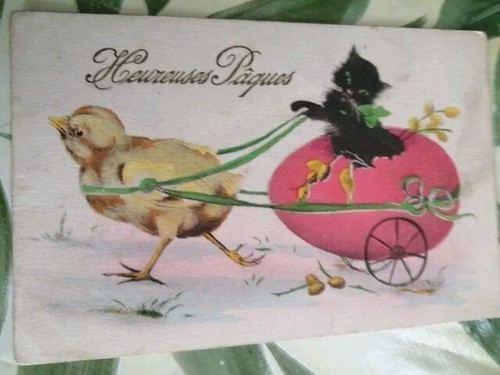 Augurale francese gatto nero - augurale,