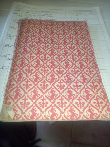 491n libro delle - il,