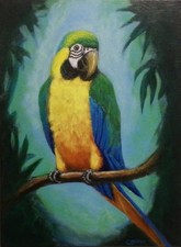 Bird Pappagallo Ara Dipinto