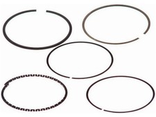 ANELLI PISTONE FORD FUSION 1.4