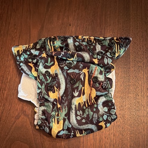 Bumgenius all one cloth - all-in-one,