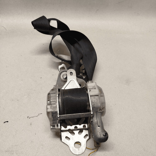 G087917 cintura sicurezza - cintura,