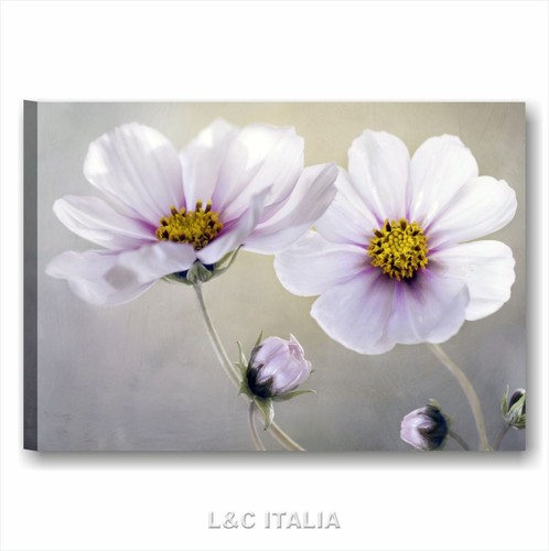 Fiori vintage quadro stampa - vintage, 7