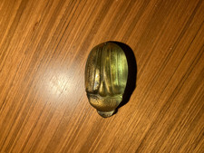 LALIQUE SCARABEO ORO VERDE