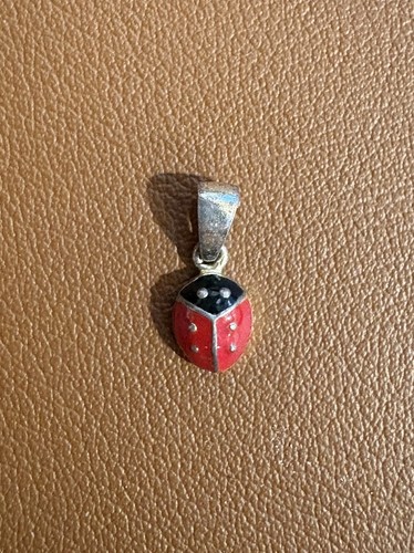Piccolo ciondolo coccinella