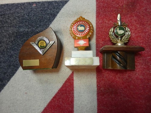 Trofei vintage coniglietti - x,