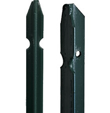 10 PALETTI A 'T' PER