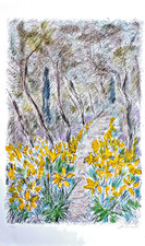 Michele CASCELLA  litografia