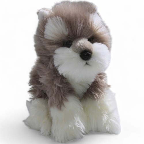 Carl dick schnauzer terrier - carl,