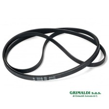 Cinghia elastica righi - cinghia,