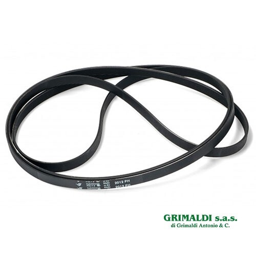 Cinghia elastica righi - cinghia,