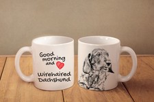 Pelo Duro Bassotto - Ceramica