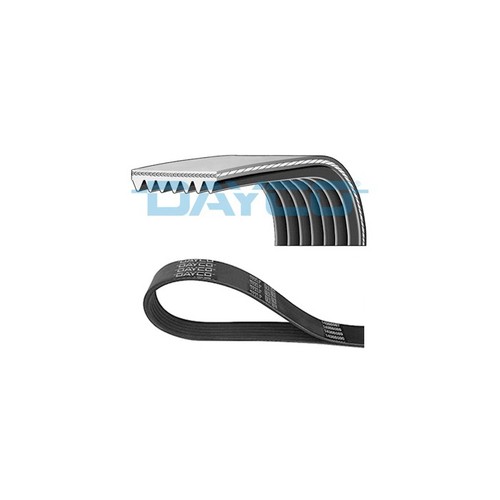 Cinghia accessori per - accessori,