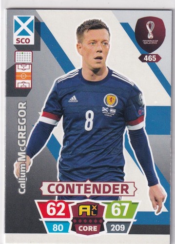 Panini qatar world cup - world,