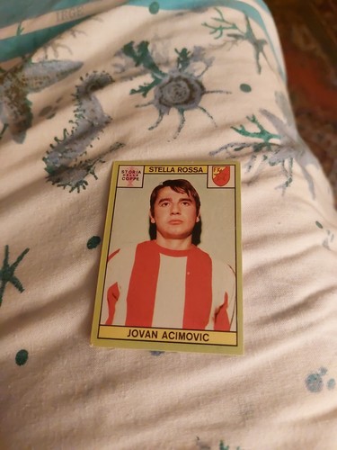 Figurina panini calciatori - panini,