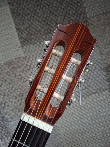 Vecchia chitarra luxor - vecchia,