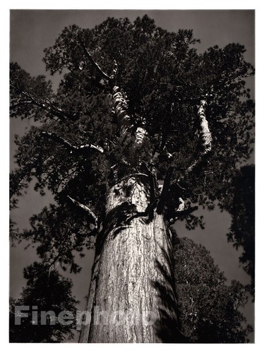 1949 originale ansel adams - 1949,
