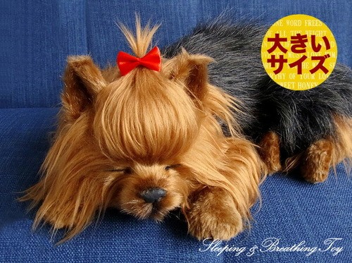 Breathing perfect pet - breathing,