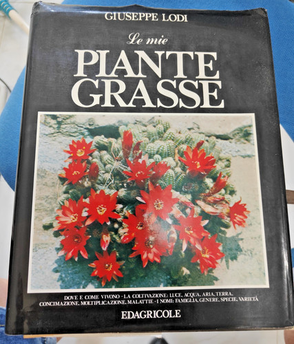 Mie piante grasse - le,